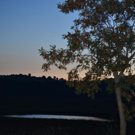 Agriturismo Podere Micitto Usi Cameră foto