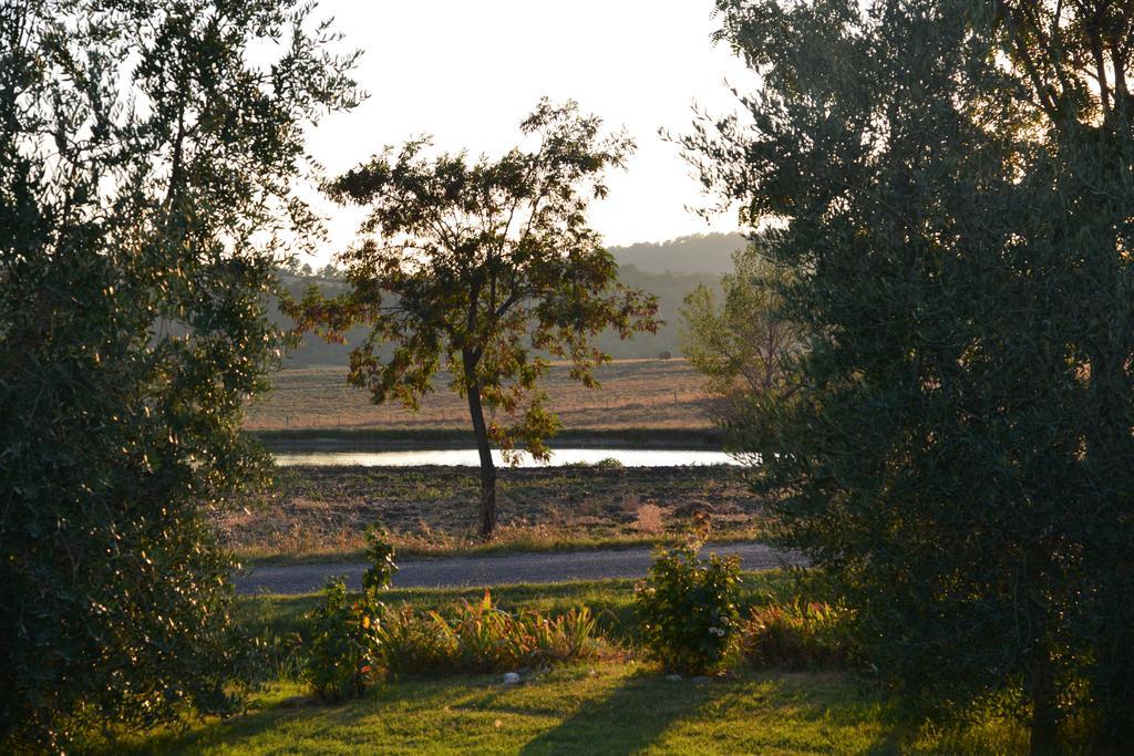Agriturismo Podere Micitto Usi Cameră foto