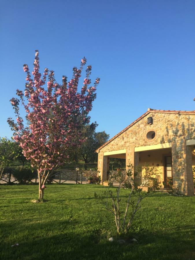Agriturismo Podere Micitto Usi Exterior foto